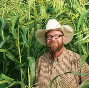 Growing Corn in Osage County, Kansas Image